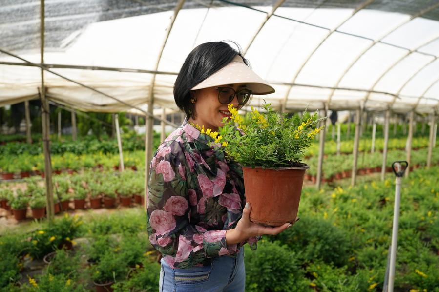 Yunnan flower fragrance spreads in Vietnam
